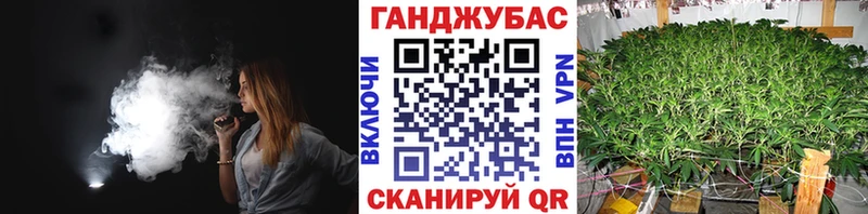 как найти   Салаир  Каннабис ГИДРОПОН 